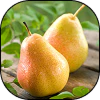 English Pear